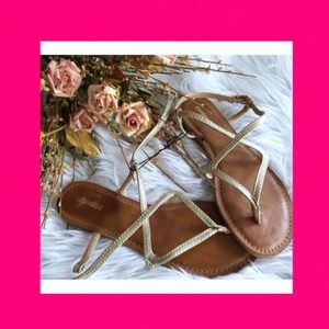 NWOT EXPRESS Metallic Flat Sandal SZ•6